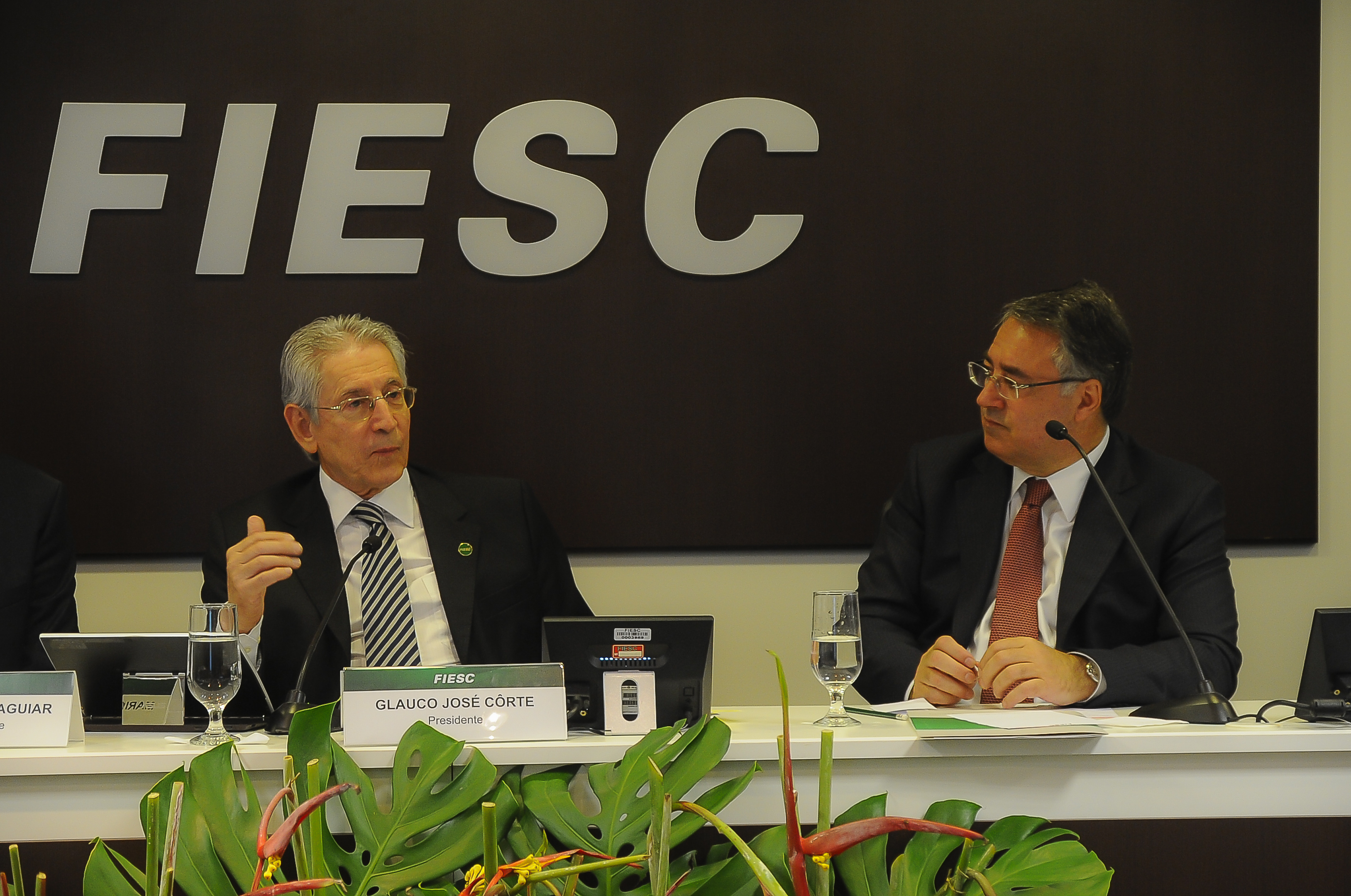 Imagem 985 no node 2741