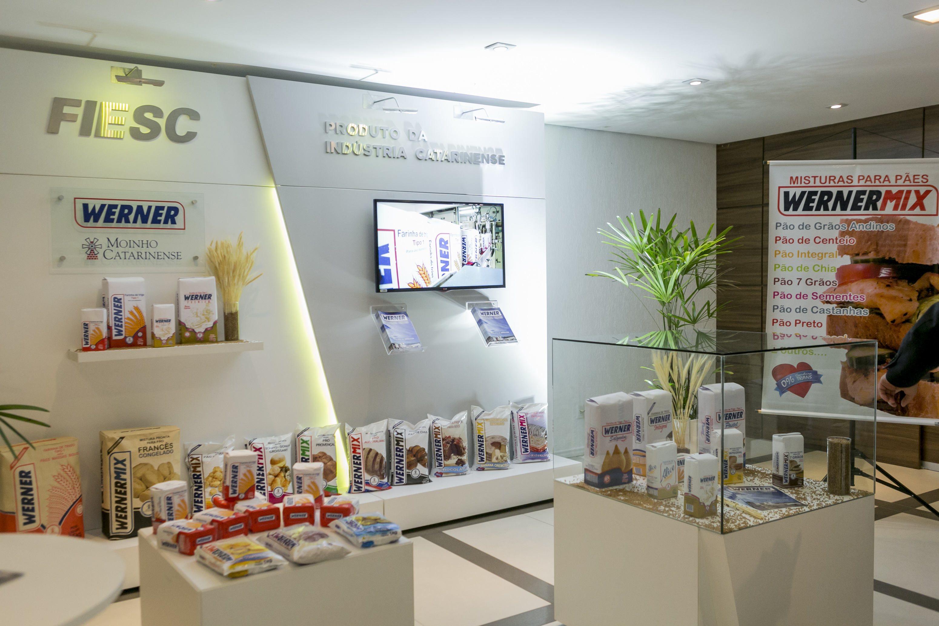 Imagem 4010 no node 6119