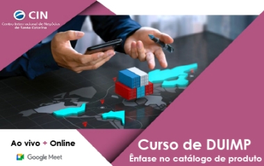 Curso de DUIMP - Ênfase no Catalogo de Produto