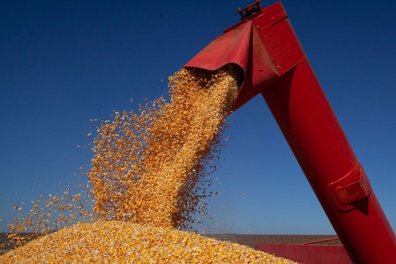 Grão é o principal insumo da agroindústria(CNA/Wenderson Araújo/Trilux)