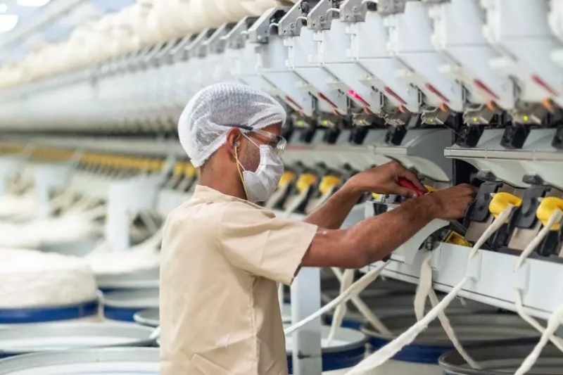 Cremer substitui gás natural por biomassa e conquista prêmio sustentabilidade