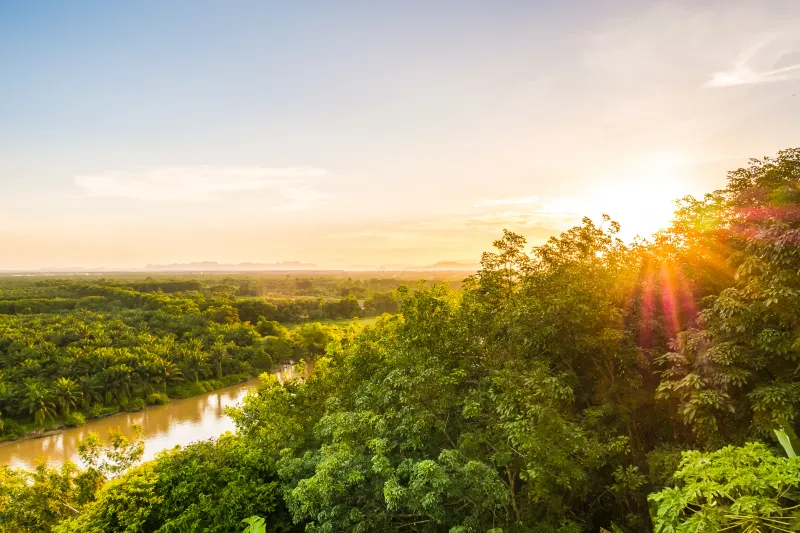 Evento aborda possibilidades para as indústrias com créditos de biodiversidade